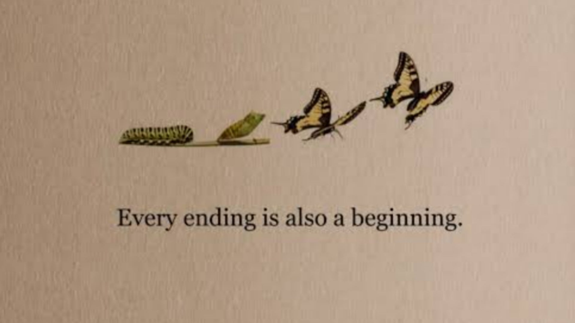 If You Feel Lost in Life, Read This