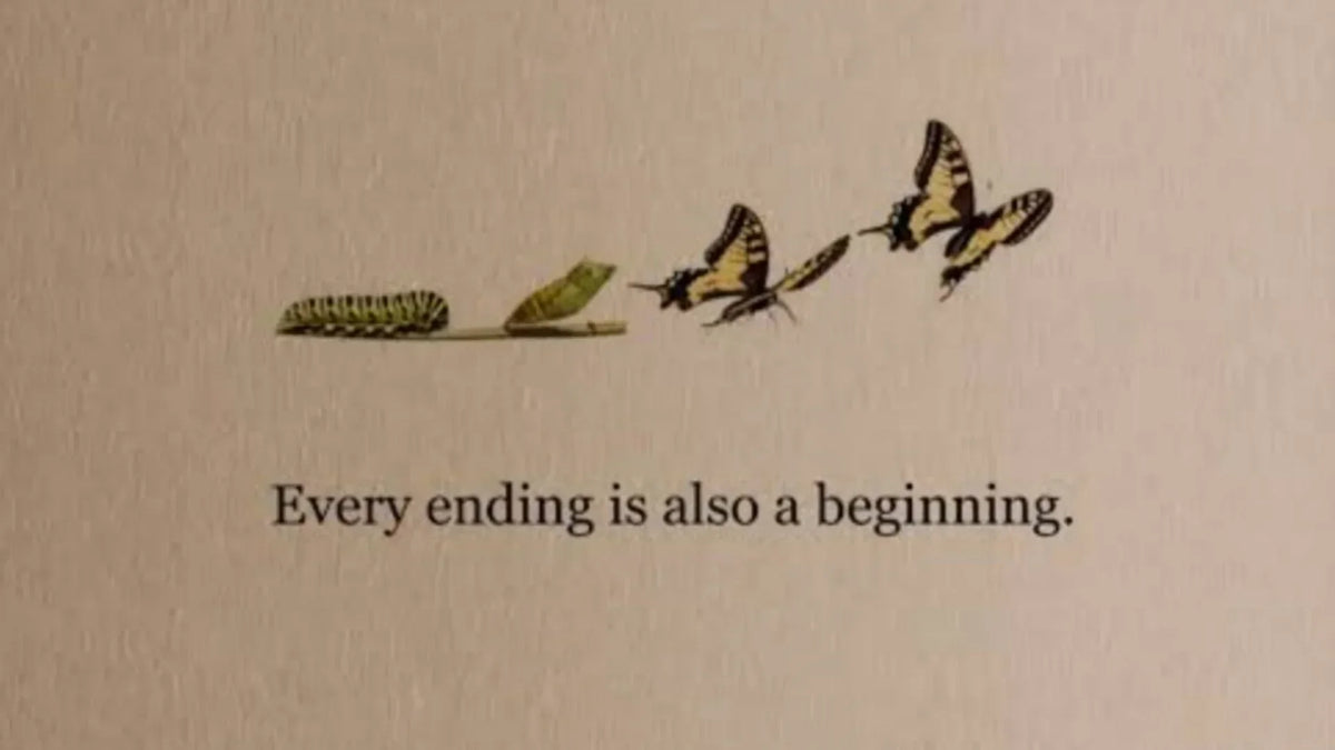 Illustrations of If You Feel Lost in Life, Read This